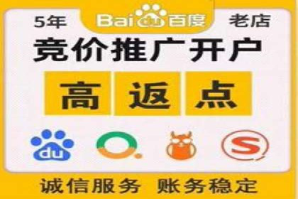 行业领先企业如何运用SEM运营推广